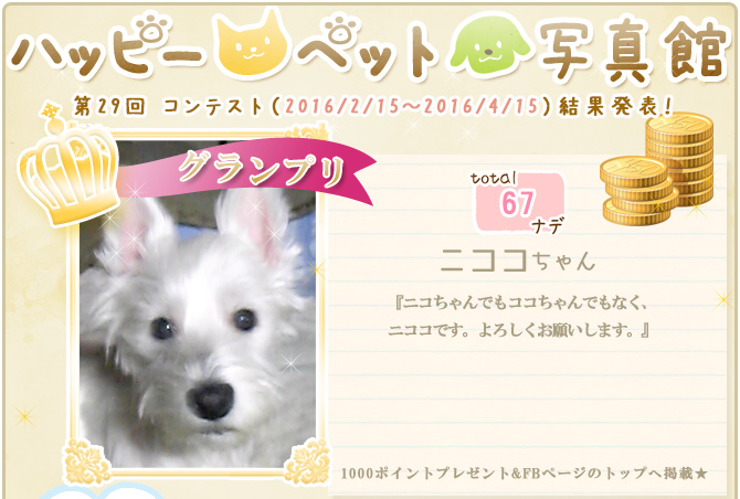 ��29��y�b�g�R���e�X�g�􌋉ʔ��\�I