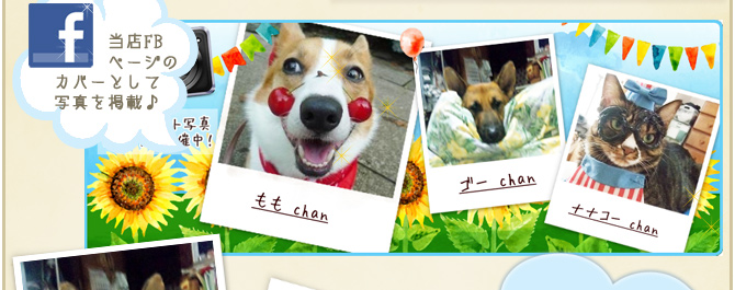 ��30��y�b�g�R���e�X�g�􌋉ʔ��\�I