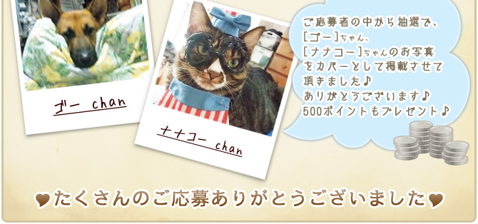 ��30��y�b�g�R���e�X�g�􌋉ʔ��\�I