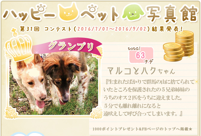 ��31��y�b�g�R���e�X�g�􌋉ʔ��\�I