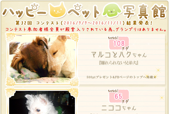 ��32��y�b�g�R���e�X�g�􌋉ʔ��\�I