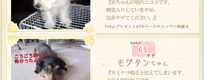 ��32��y�b�g�R���e�X�g�􌋉ʔ��\�I