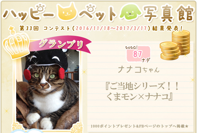 ��33��y�b�g�R���e�X�g�􌋉ʔ��\�I