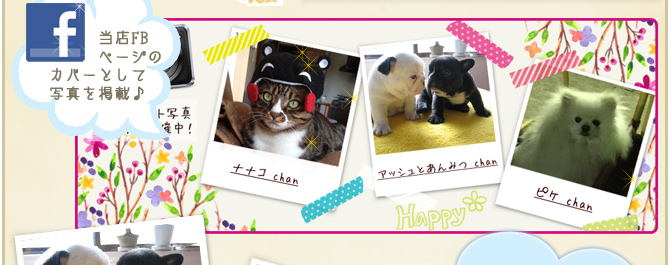 ��33��y�b�g�R���e�X�g�􌋉ʔ��\�I