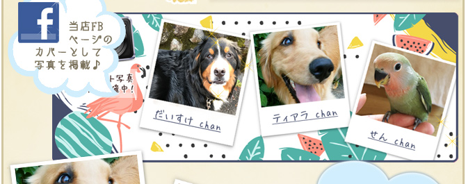 ��34��y�b�g�R���e�X�g�􌋉ʔ��\�I