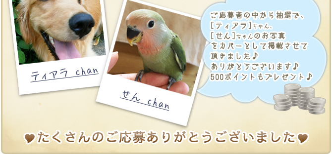 ��34��y�b�g�R���e�X�g�􌋉ʔ��\�I