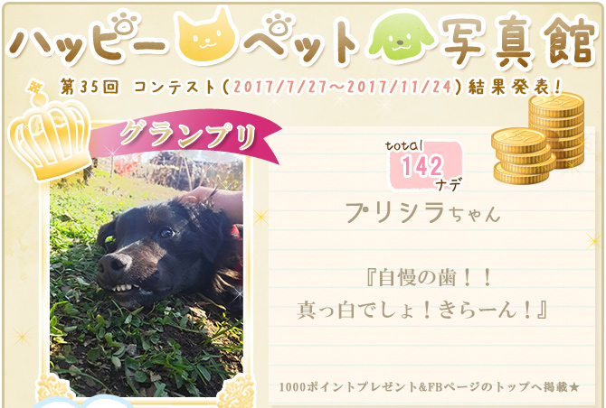 ��35��y�b�g�R���e�X�g�􌋉ʔ��\�I