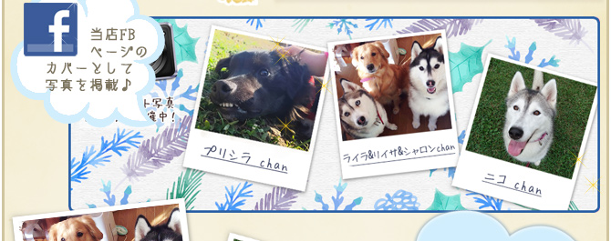 ��35��y�b�g�R���e�X�g�􌋉ʔ��\�I