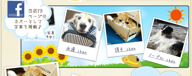 ��36��y�b�g�R���e�X�g�􌋉ʔ��\�I