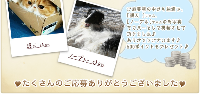 ��36��y�b�g�R���e�X�g�􌋉ʔ��\�I