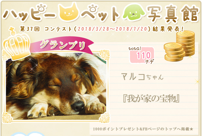 ��37��y�b�g�R���e�X�g�􌋉ʔ��\�I