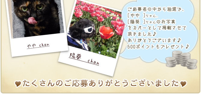 ��37��y�b�g�R���e�X�g�􌋉ʔ��\�I