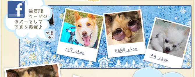 ��38��y�b�g�R���e�X�g�􌋉ʔ��\�I