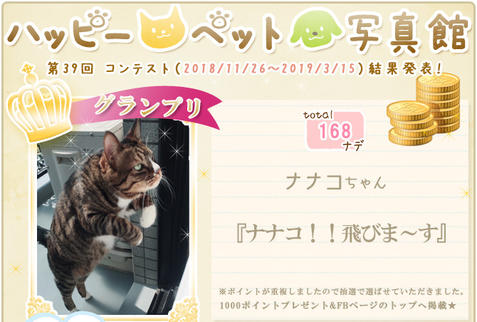 ��38��y�b�g�R���e�X�g�􌋉ʔ��\�I