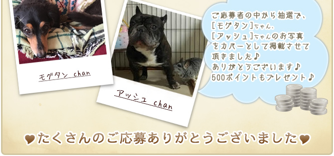 ��39��y�b�g�R���e�X�g�􌋉ʔ��\�I