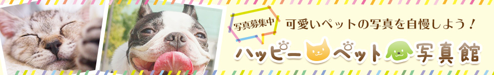 nbs[ybgʐ^