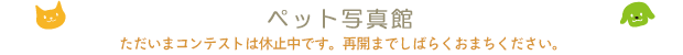 ybgʐ^ف