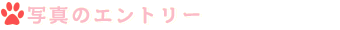 ʐ^̃Gg[ɂ