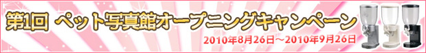 1ybgʐ^كI[vjOLy[