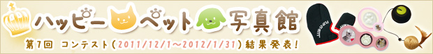 7ybgReXg􌋉ʔ\I