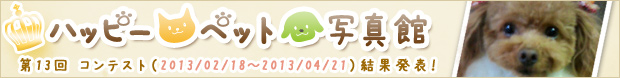 13ybgReXg􌋉ʔ\I