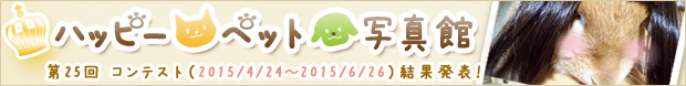 25ybgReXg􌋉ʔ\I